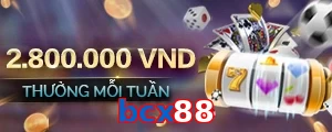 bcx88