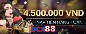 bcx88