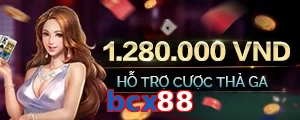 bcx88