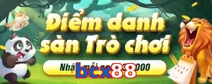 bcx88