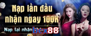 bcx88