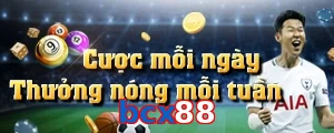 bcx88